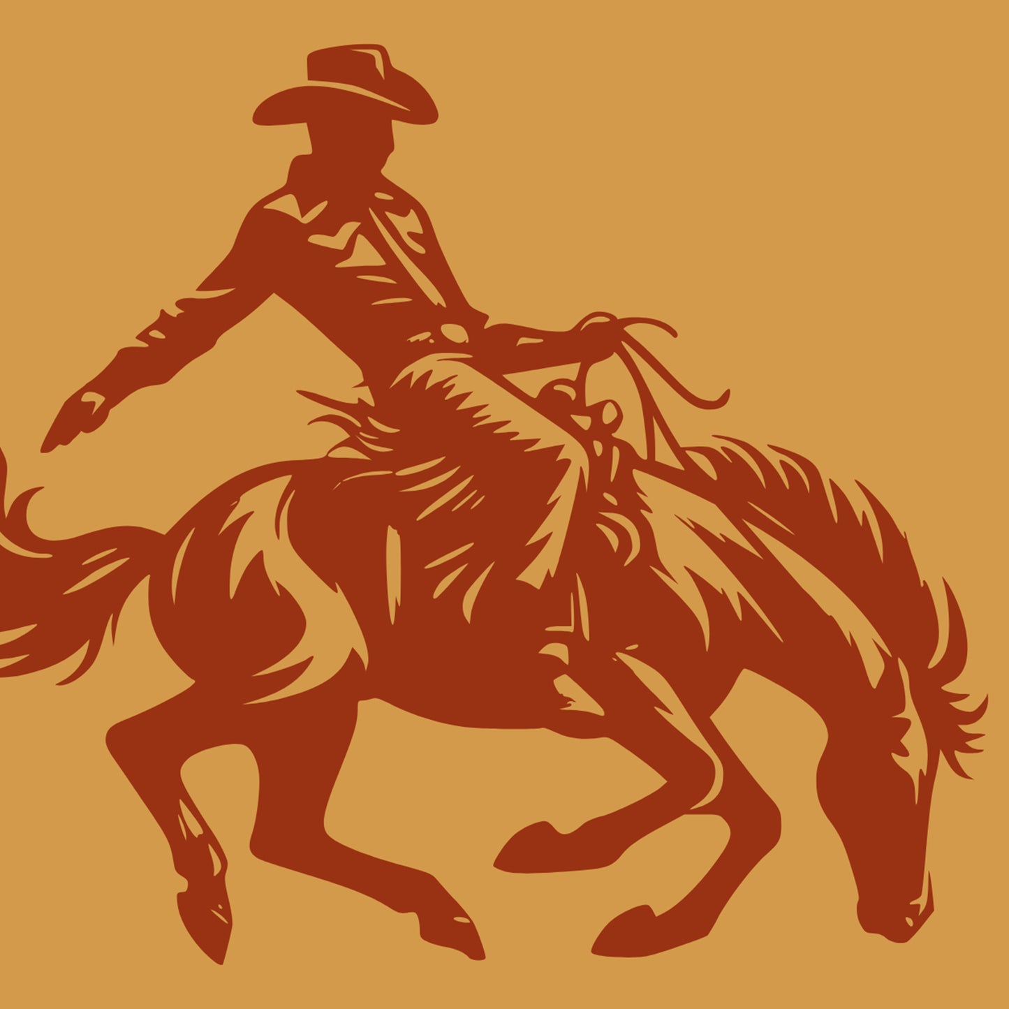 Ain't My First Rodeo