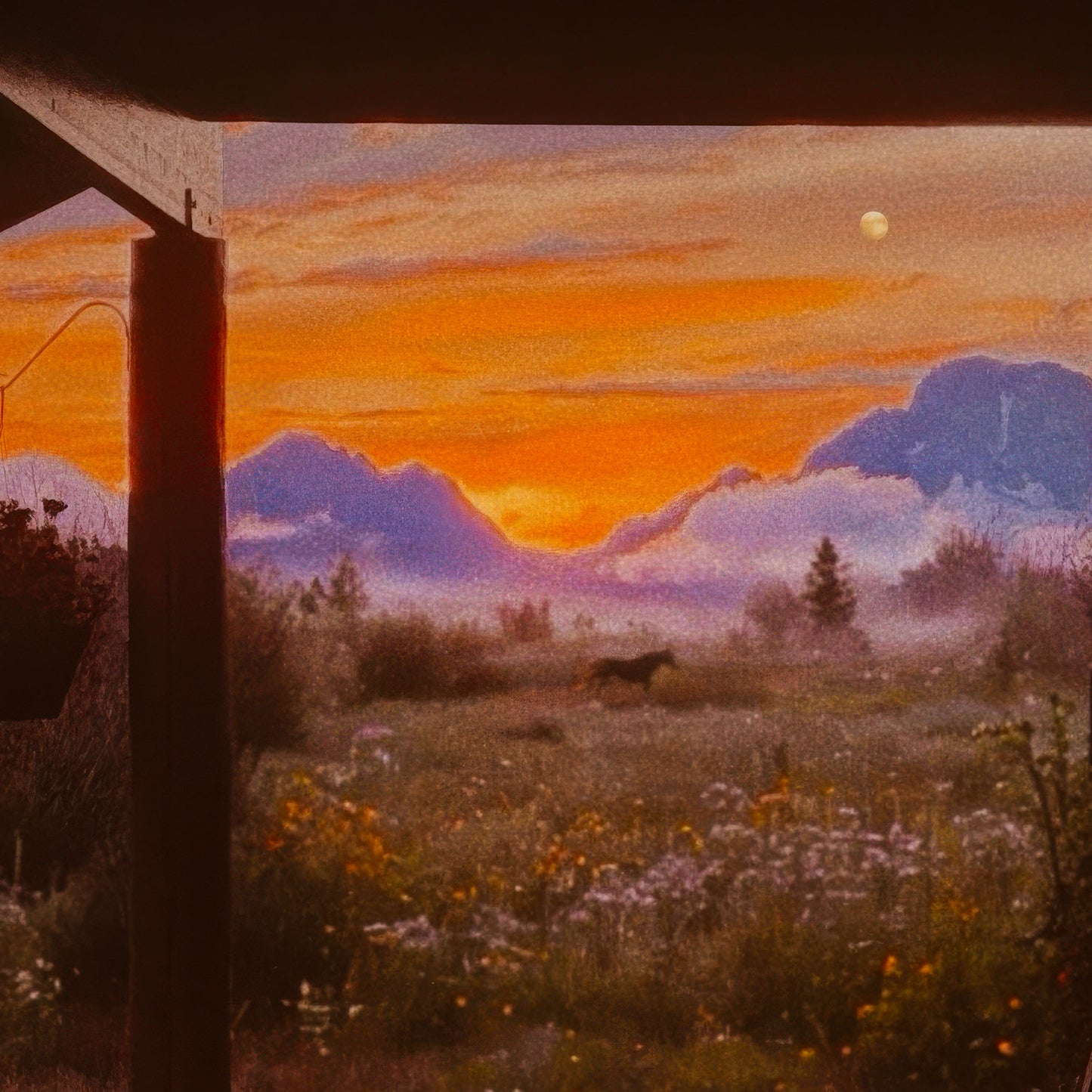 Home At The Ranch