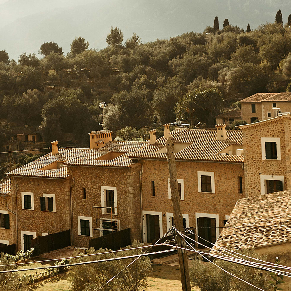 Close-up of village with brick and stone buildings and greenery in the background