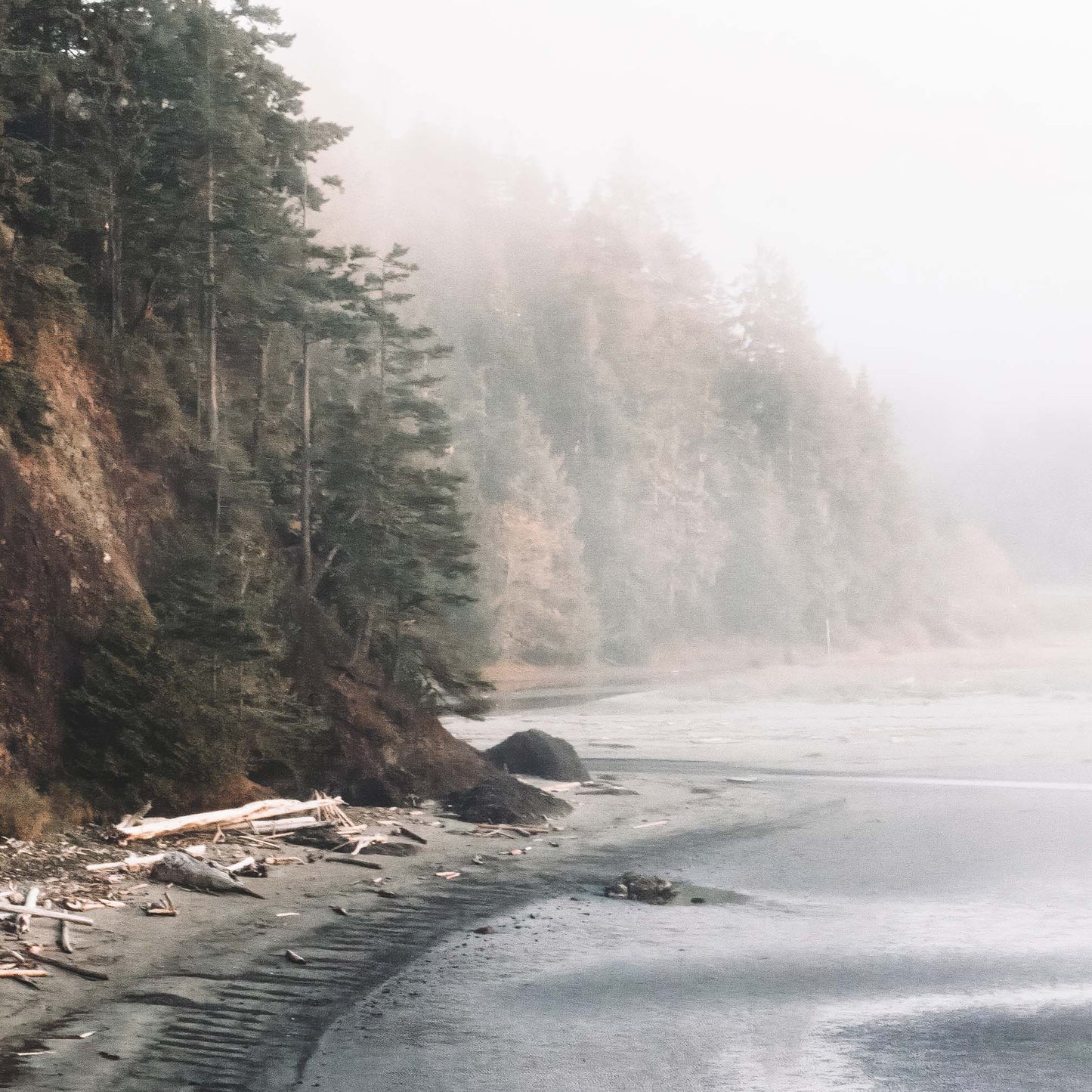 Salt Creek III Color