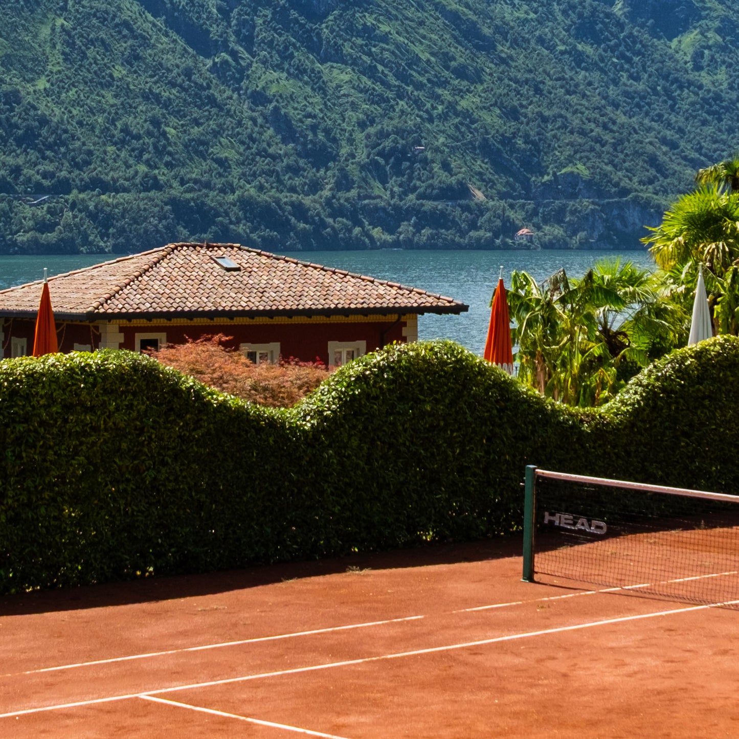 Tennis Dreams