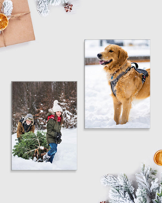 2 Medium Glass Prints Bundle