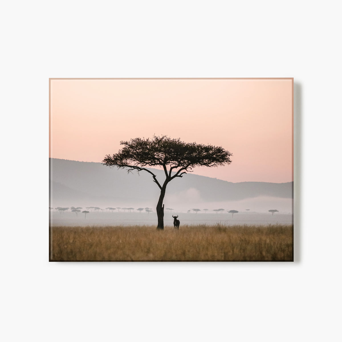 Glass Print of a silhouette of a tree with a wildebeest under a pink sky in a grassy field