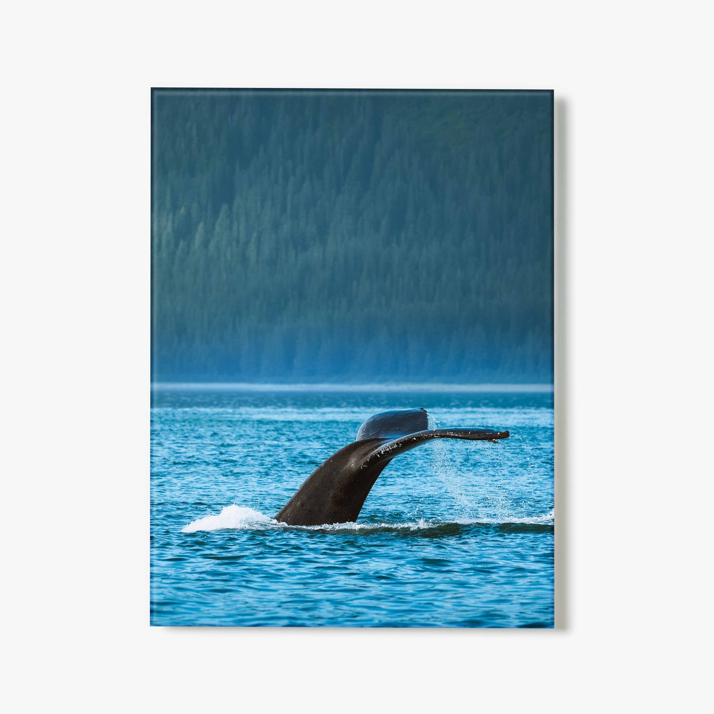 Alaskan Royalty