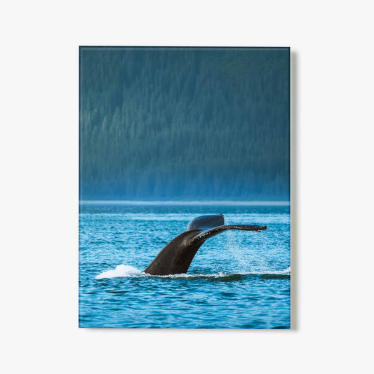 Alaskan Royalty