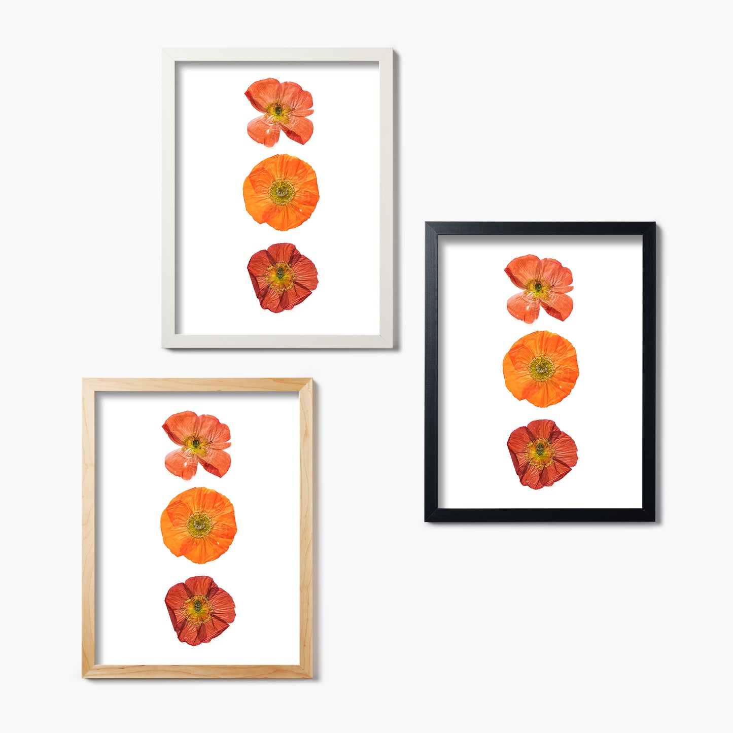 August Poppy Pressed Floral Custom Name Print