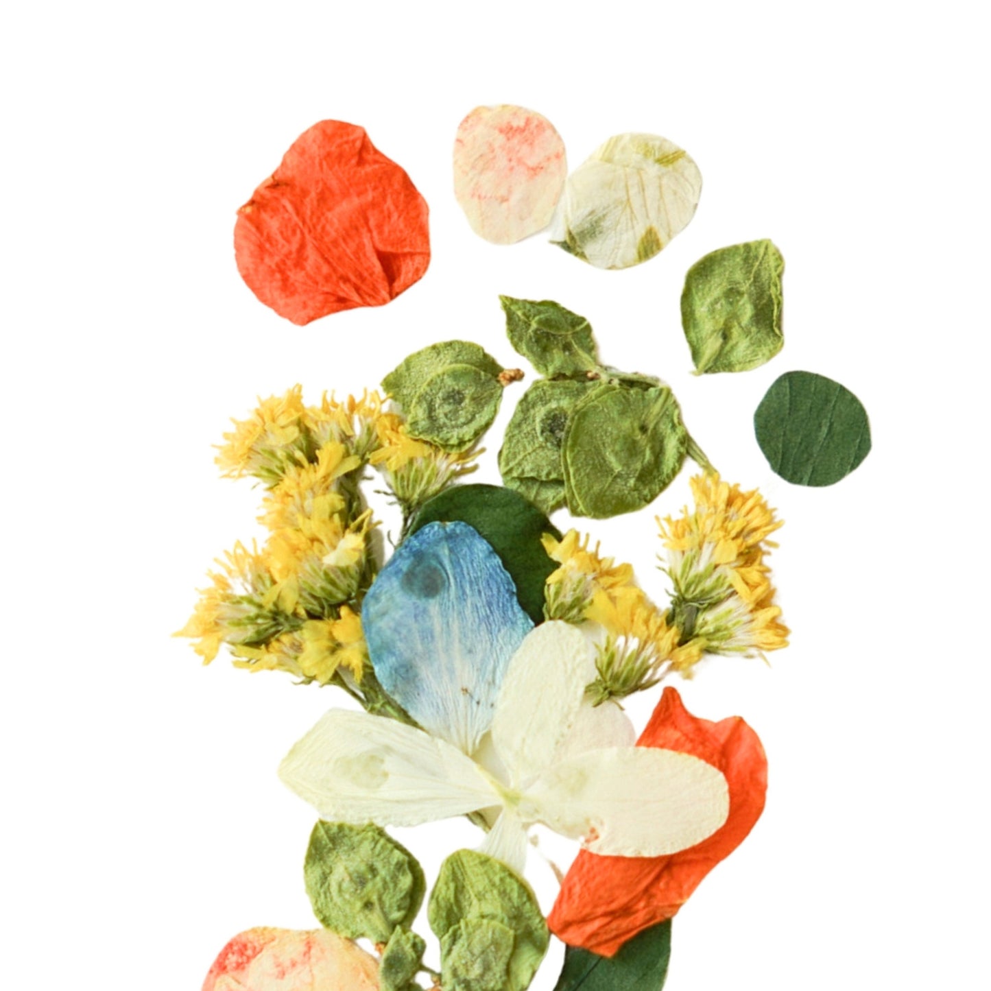 Baby Blooms Citrus Mist Pressed Floral Print