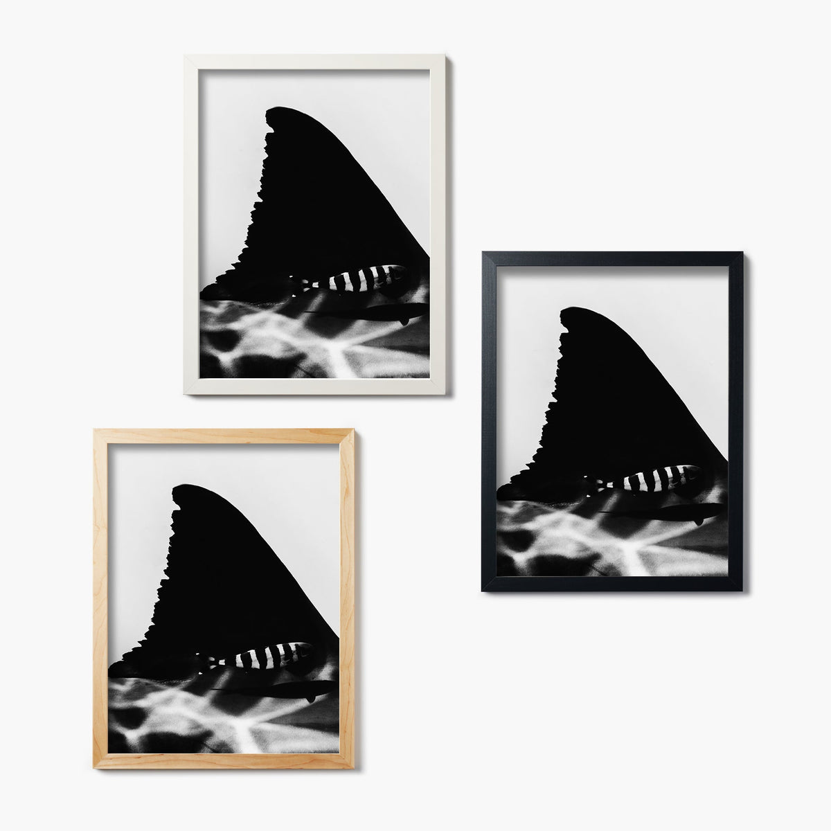 Three framed black and white artworks of shark fins on a white wall.