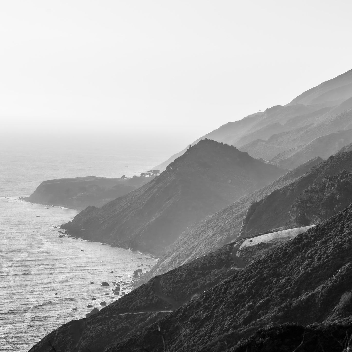 B&W Coastline