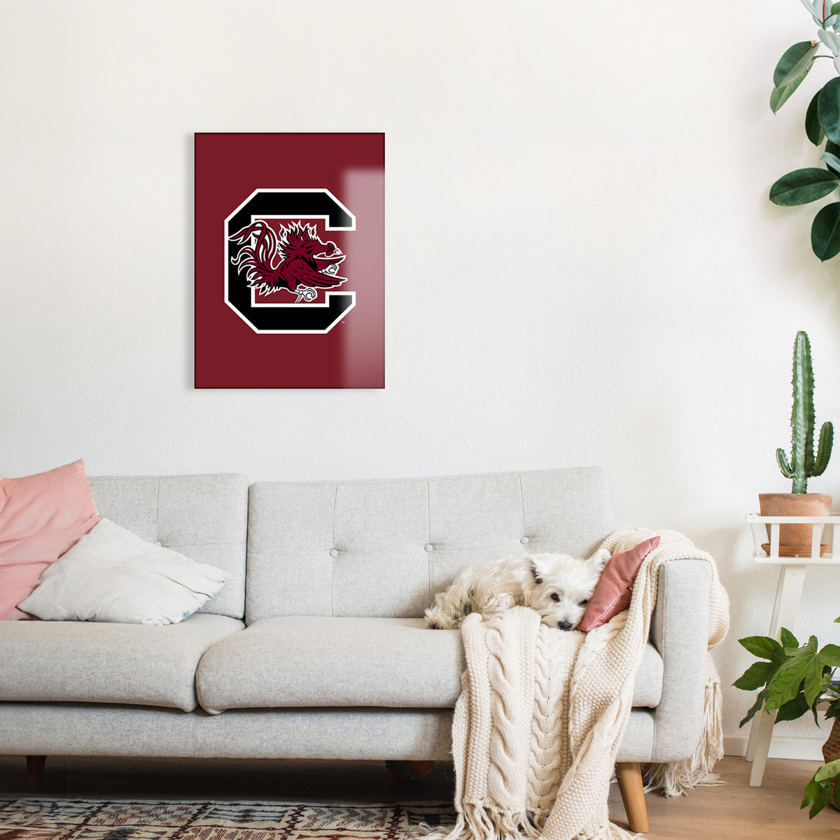 Carolina Gamecocks