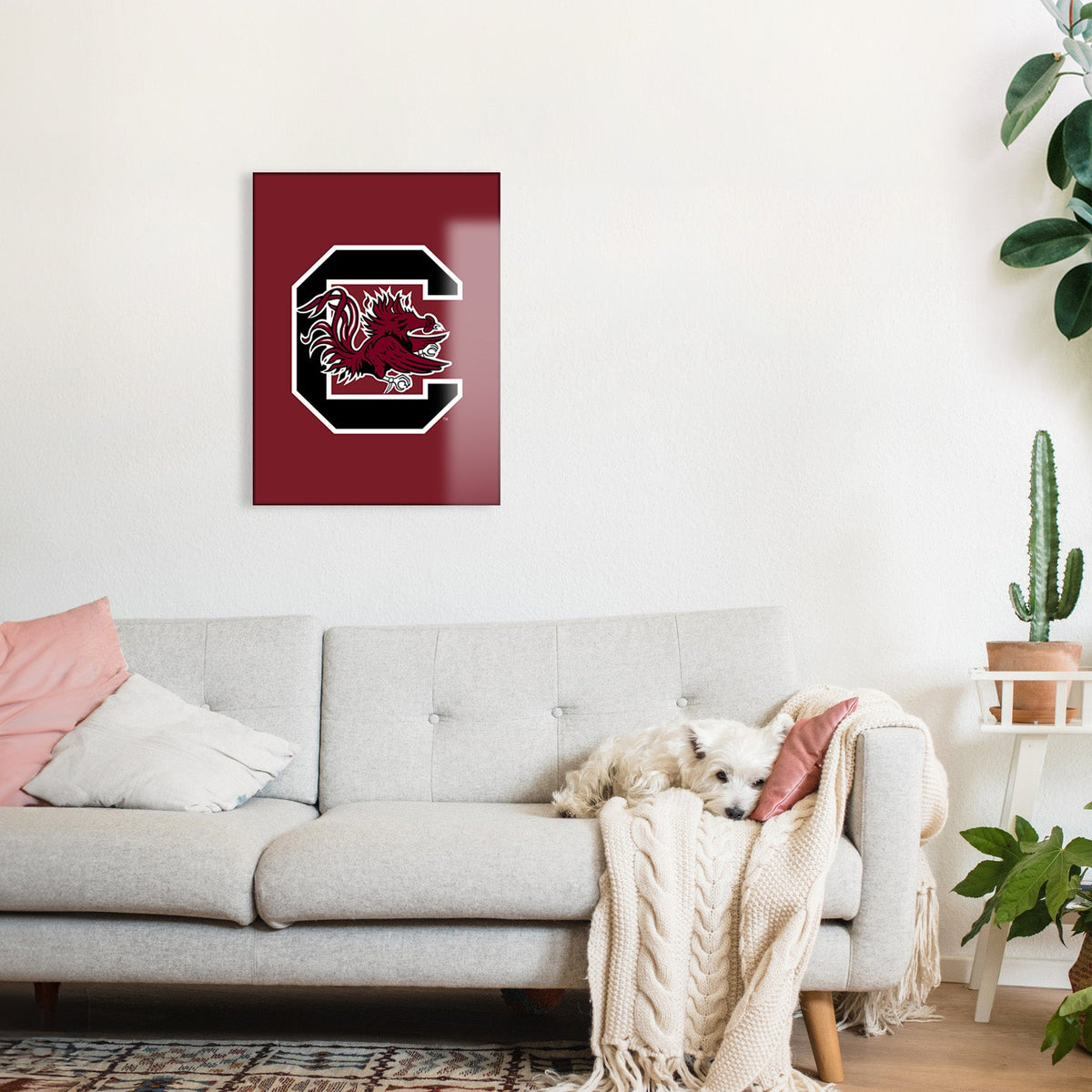 Carolina Gamecocks