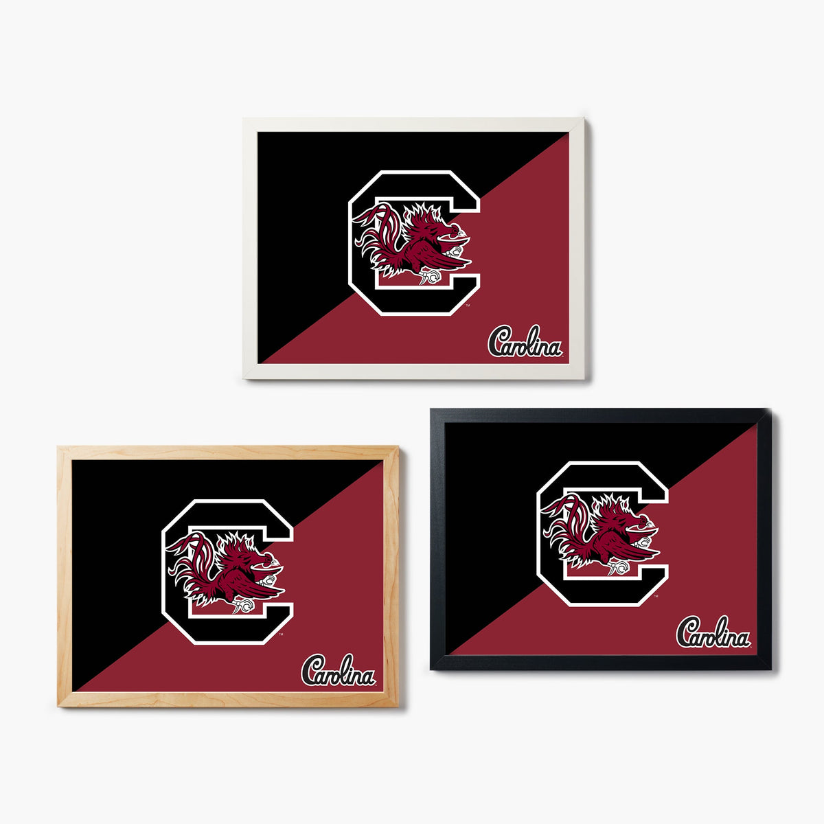 Carolina Gamecocks Graphic