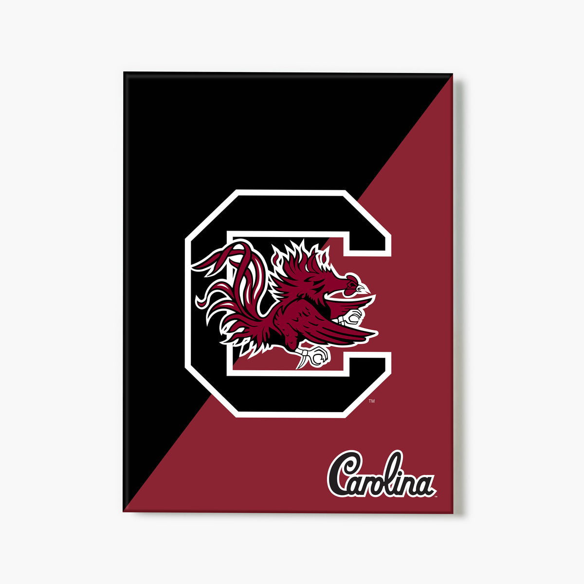 Carolina Gamecocks Graphic