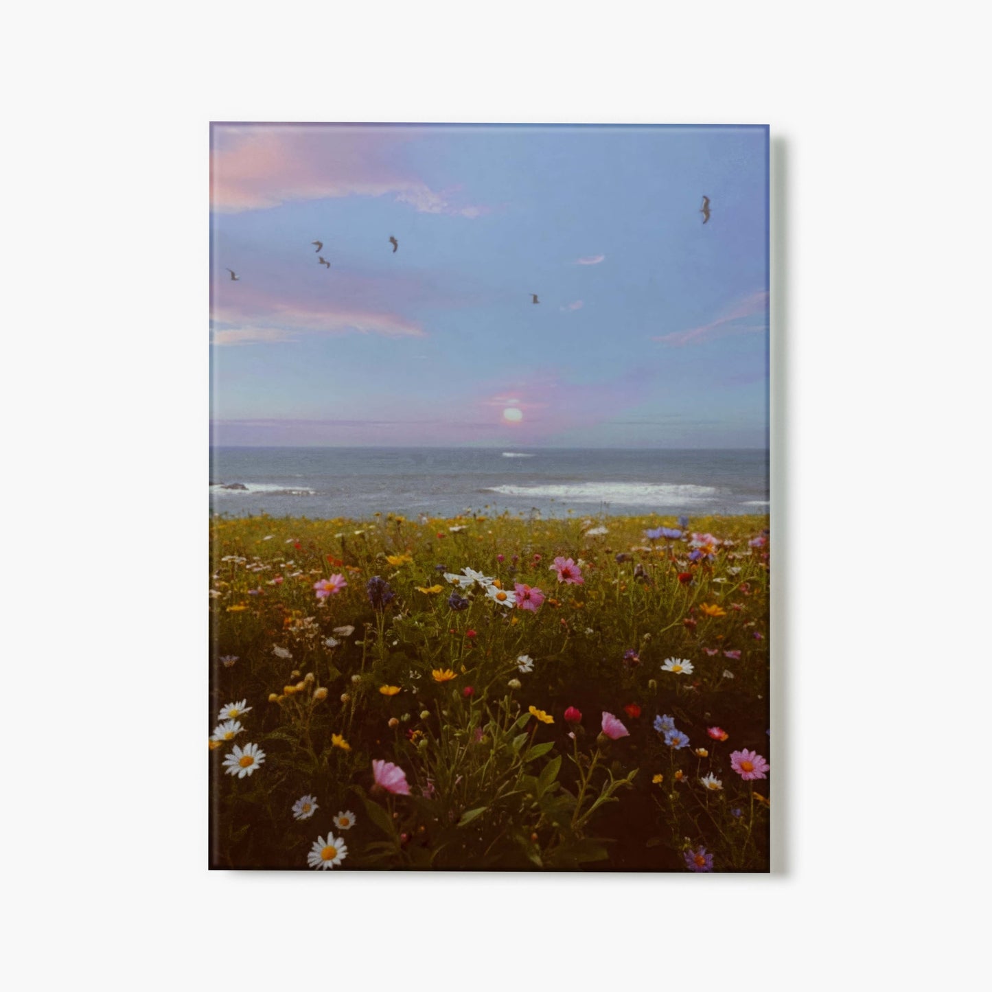 Coastal Nostalgia