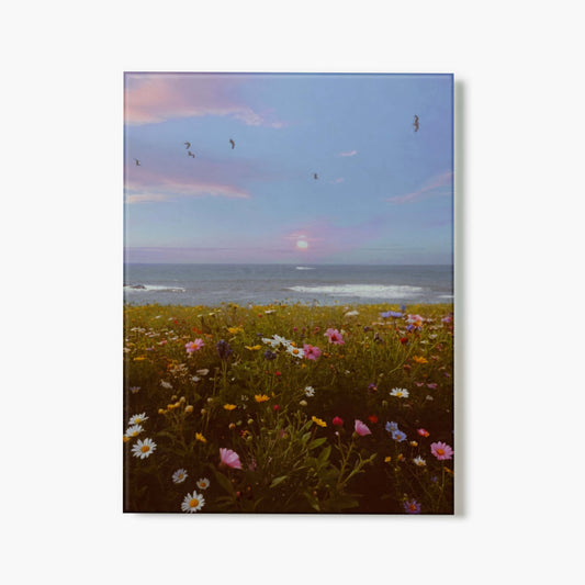 Coastal Nostalgia