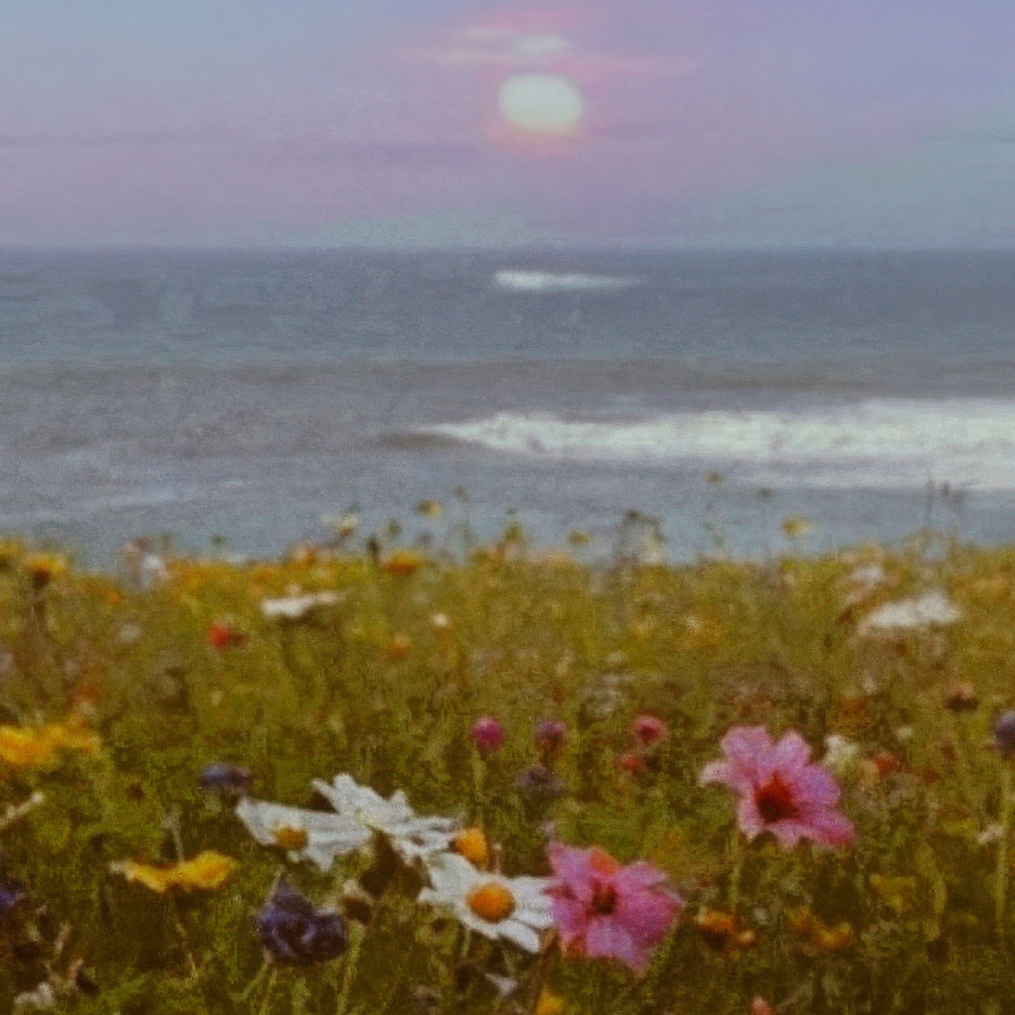 Coastal Nostalgia