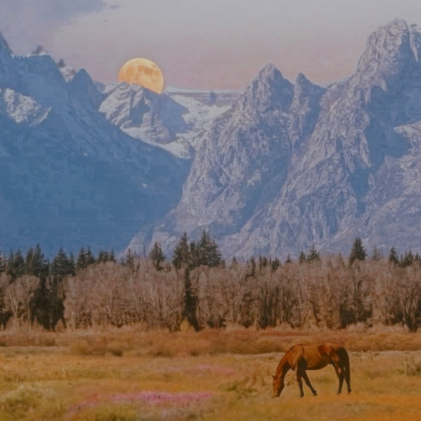 Cowboy Moon