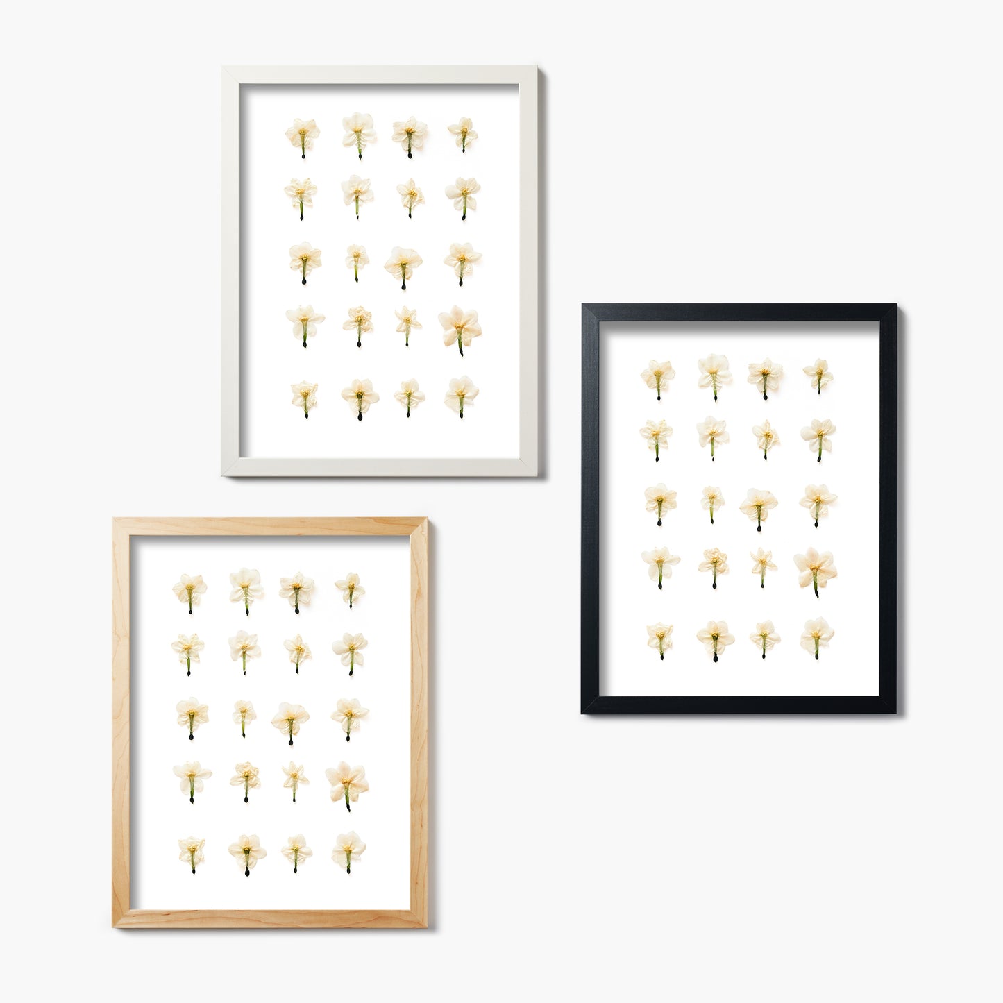 December Narcissus Pressed Floral Custom Name Print