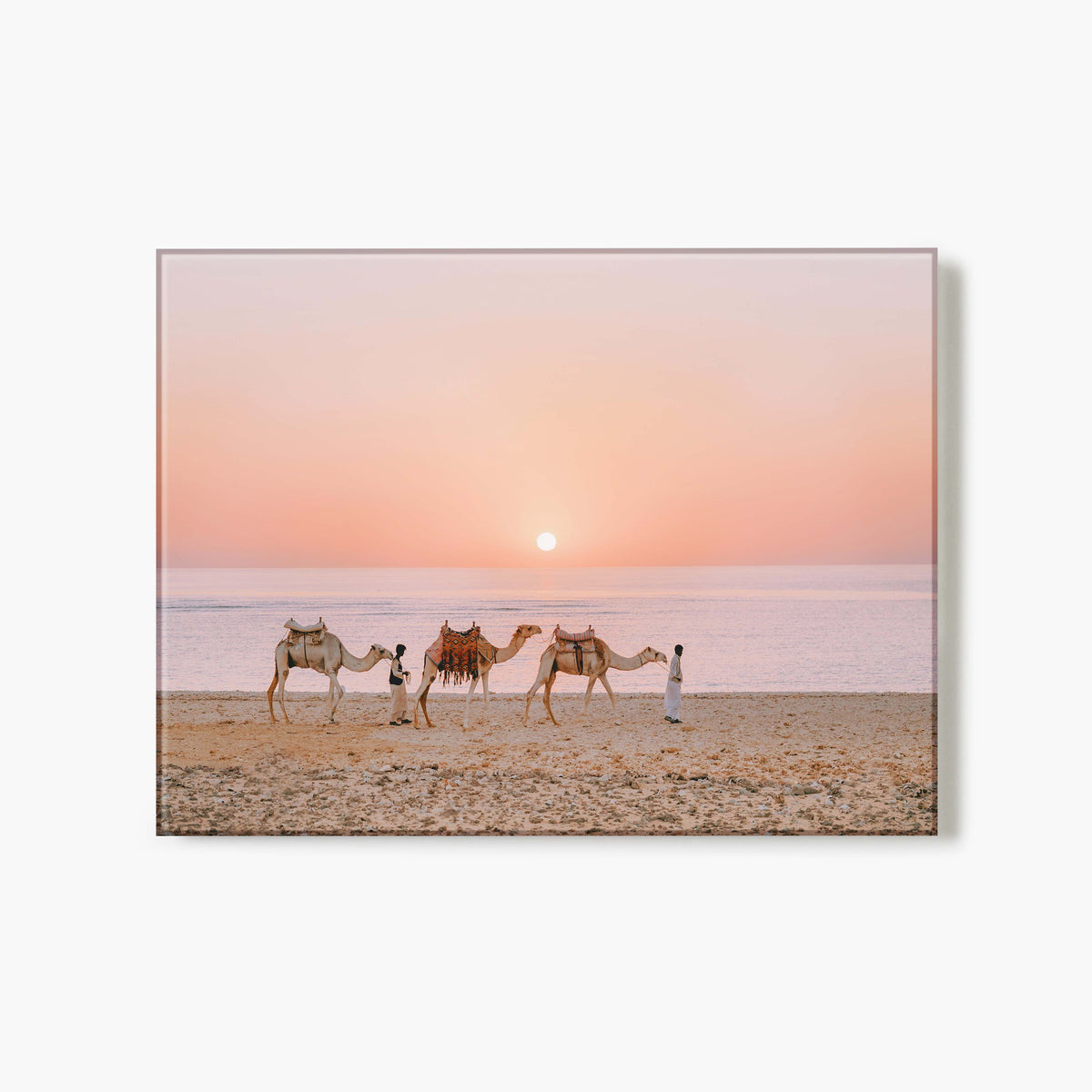 Glass Print of three camels and two people walking in a desert landscape with a sunset sky.