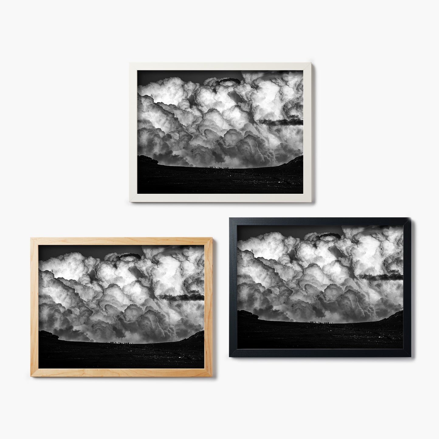 Elk In The Clouds