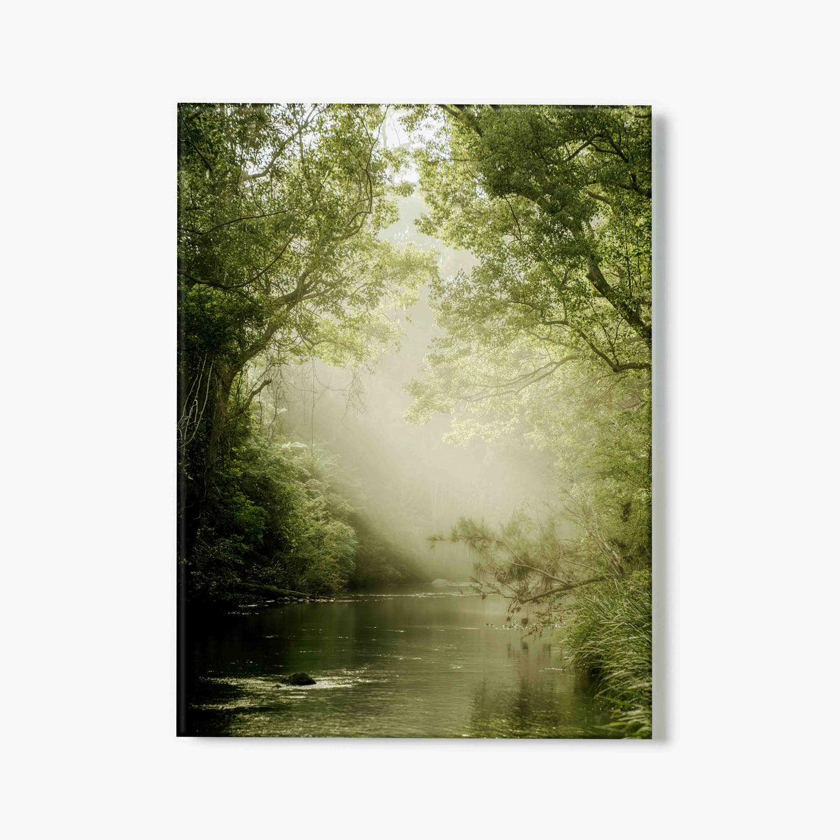 Glass print of misty green forest scene with a river and trees