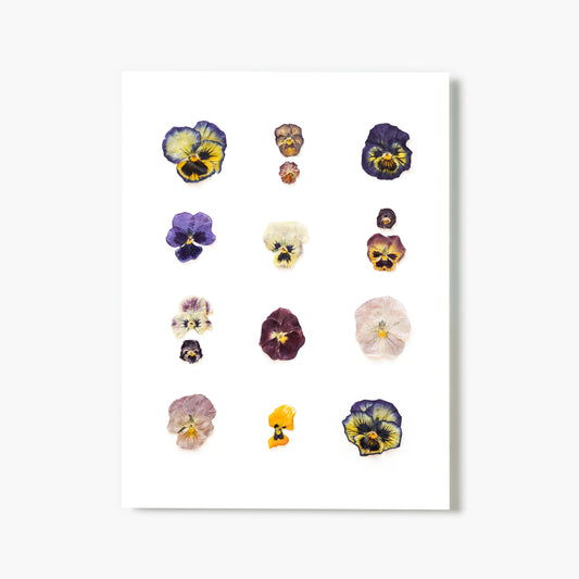 February Violet No. 2 Pressed Floral Print