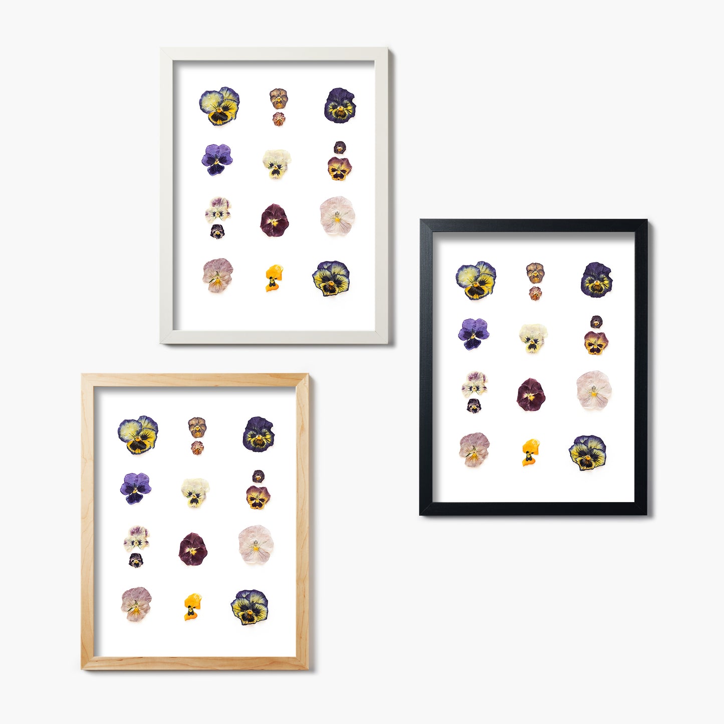 February Violet No. 2 Pressed Floral Print