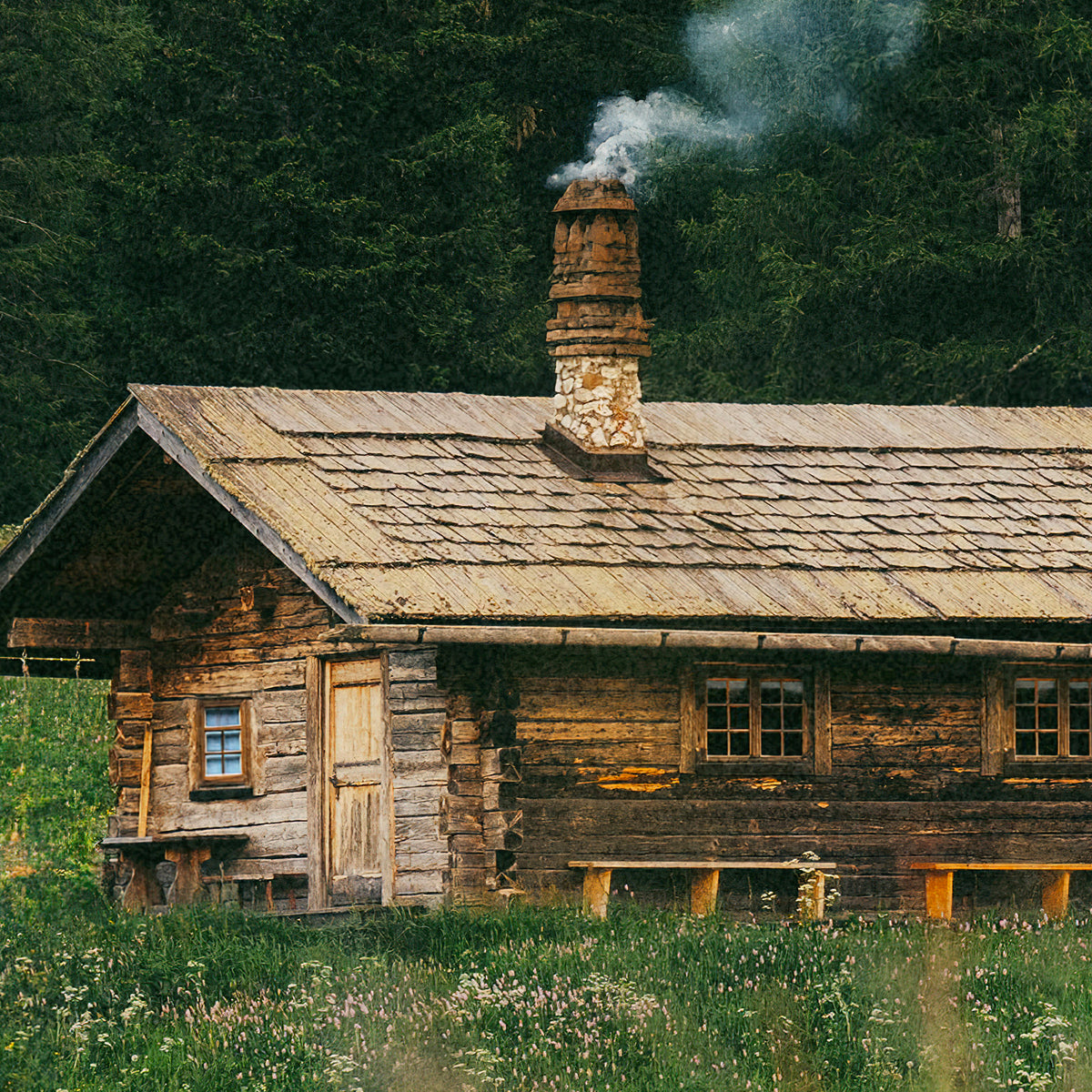 Close-up of a wooden cabin in a forest with smoke coming from the chimney