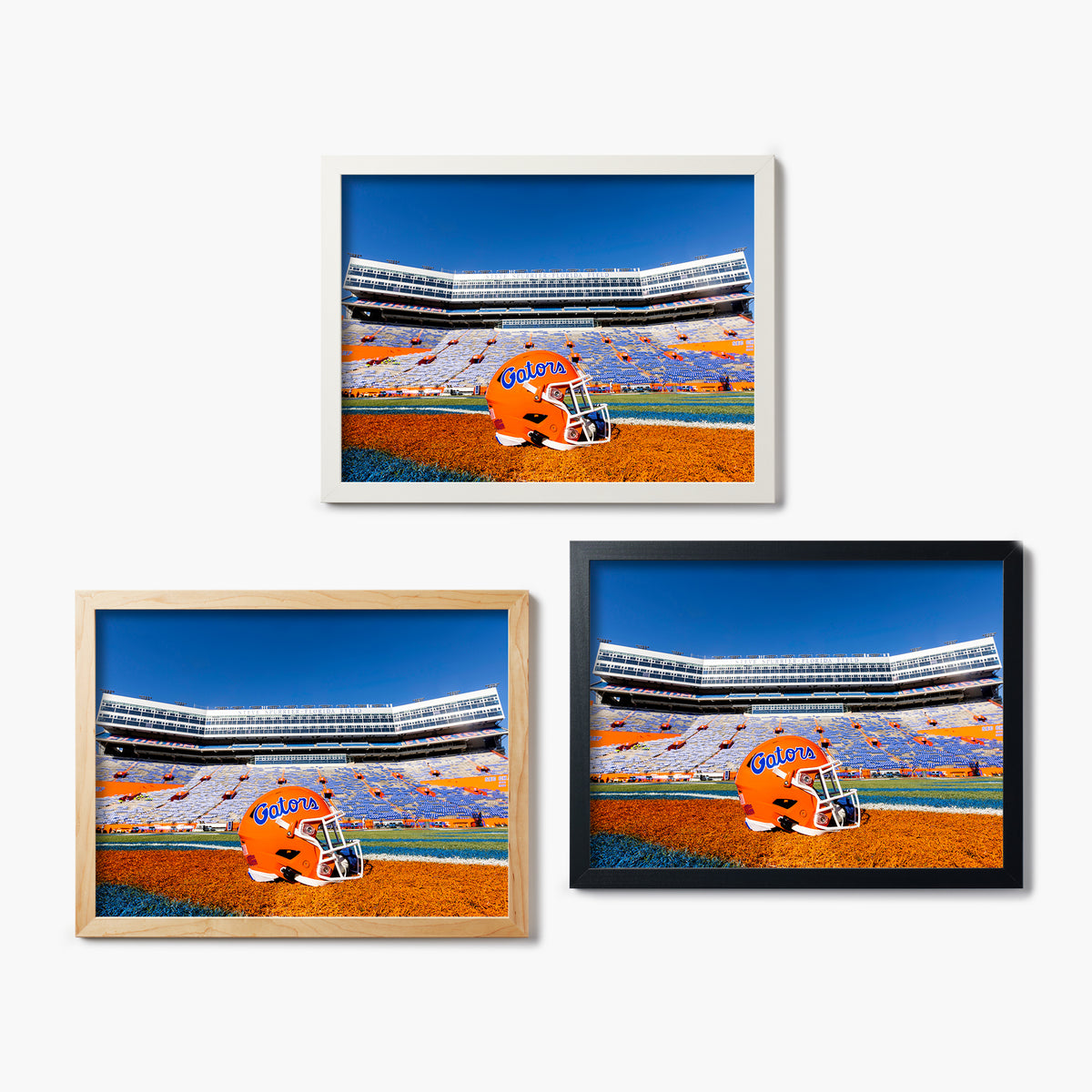 Florida Gators Helmet At Ben Hill Griffen Stadium