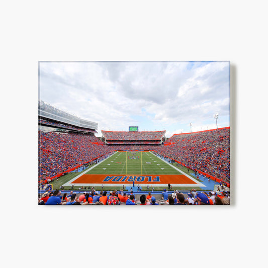 Florida Ben Hill Griffin Stadium