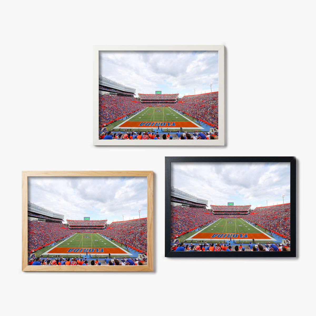 Florida Ben Hill Griffin Stadium