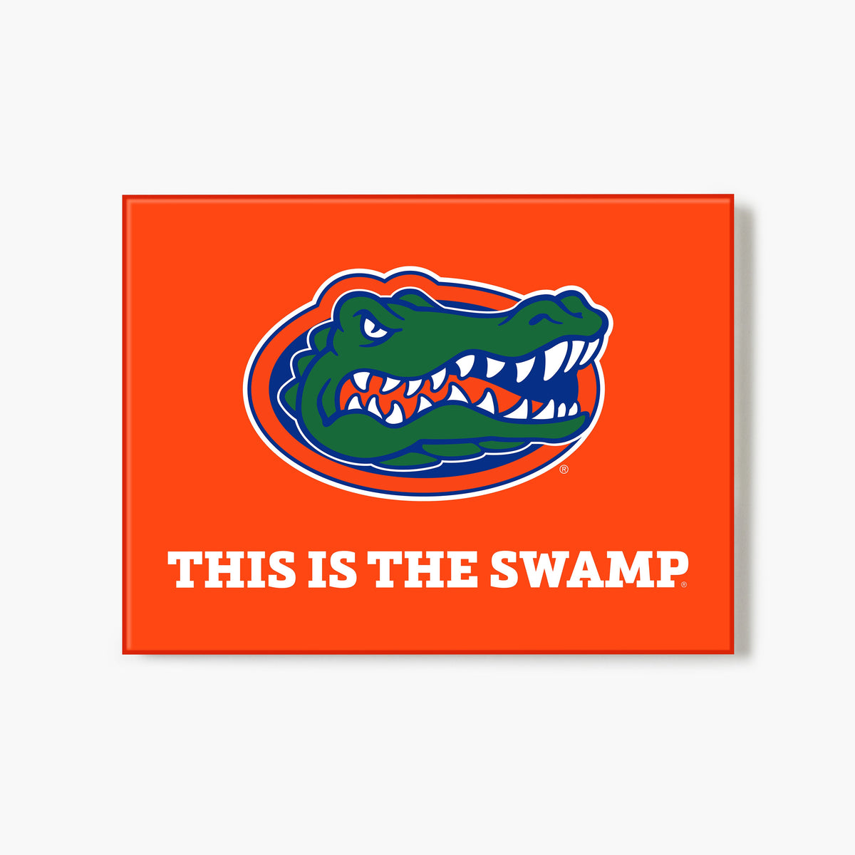 Florida This Is The Swamp