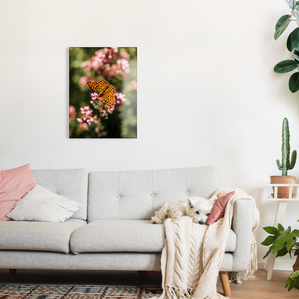 Living room with a gray sofa, pink pillows, and a glass print of a butterfly on the wall.
