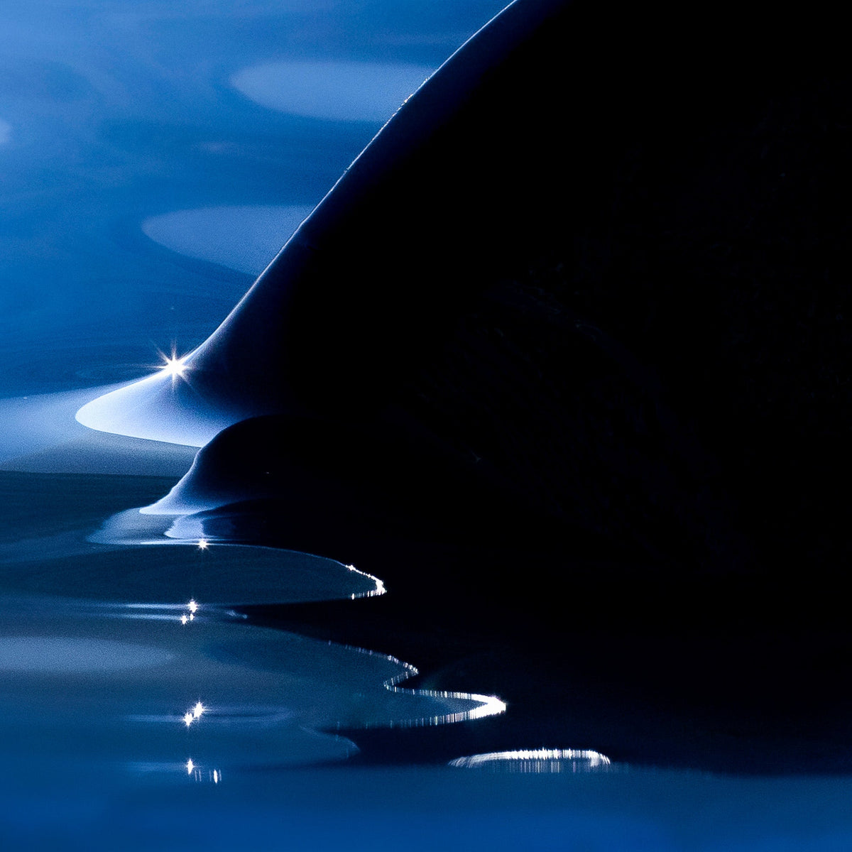 Close up of a silhouette of a shark fin protruding from dark blue water with gleam shining off the surface