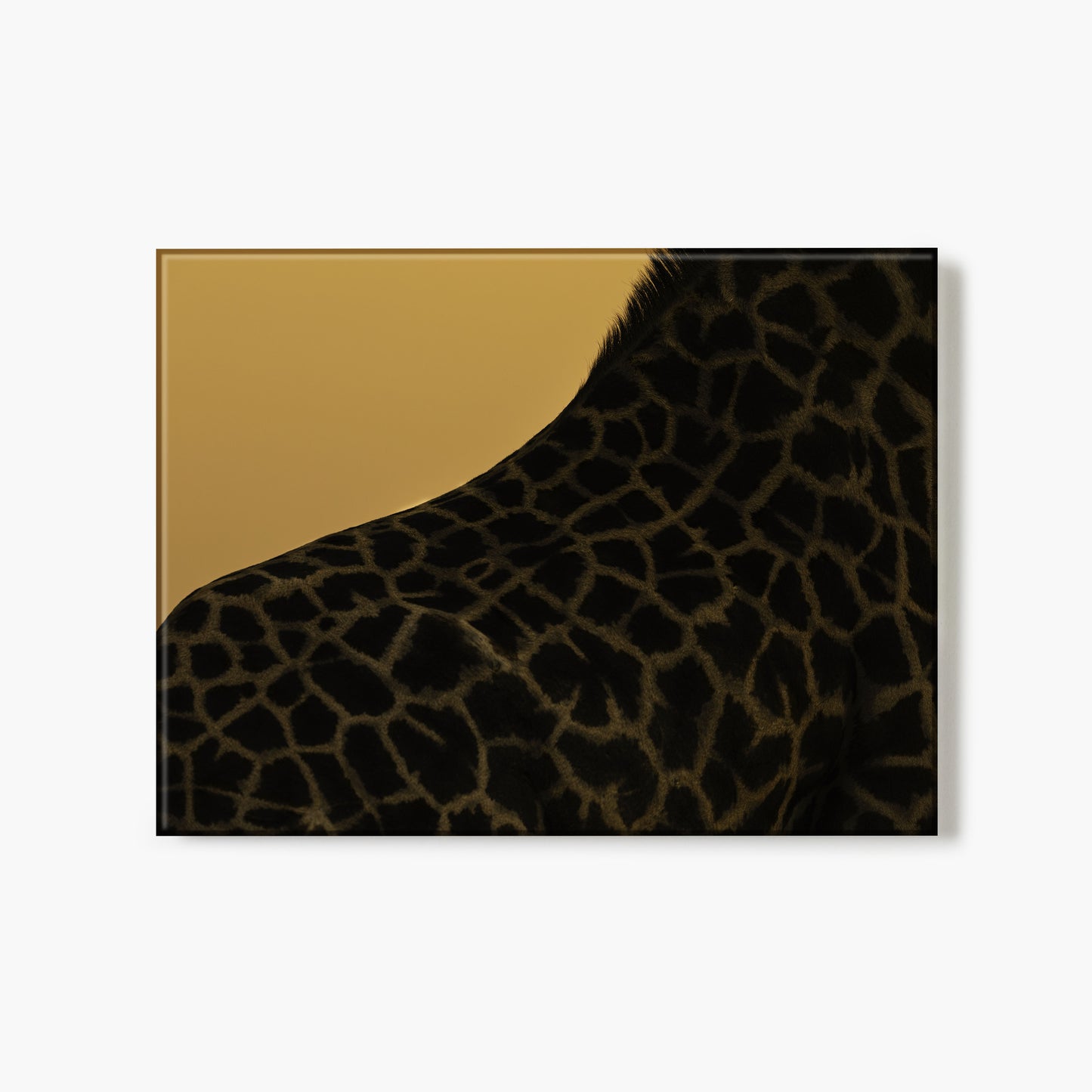 Golden Stretch