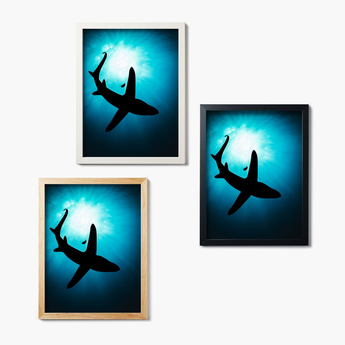 Set of three framed glass prints with shark silhouettes on a blue gradient background.
