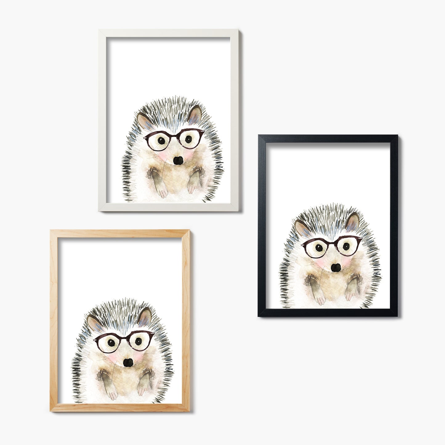 Hedgehog in Glasses