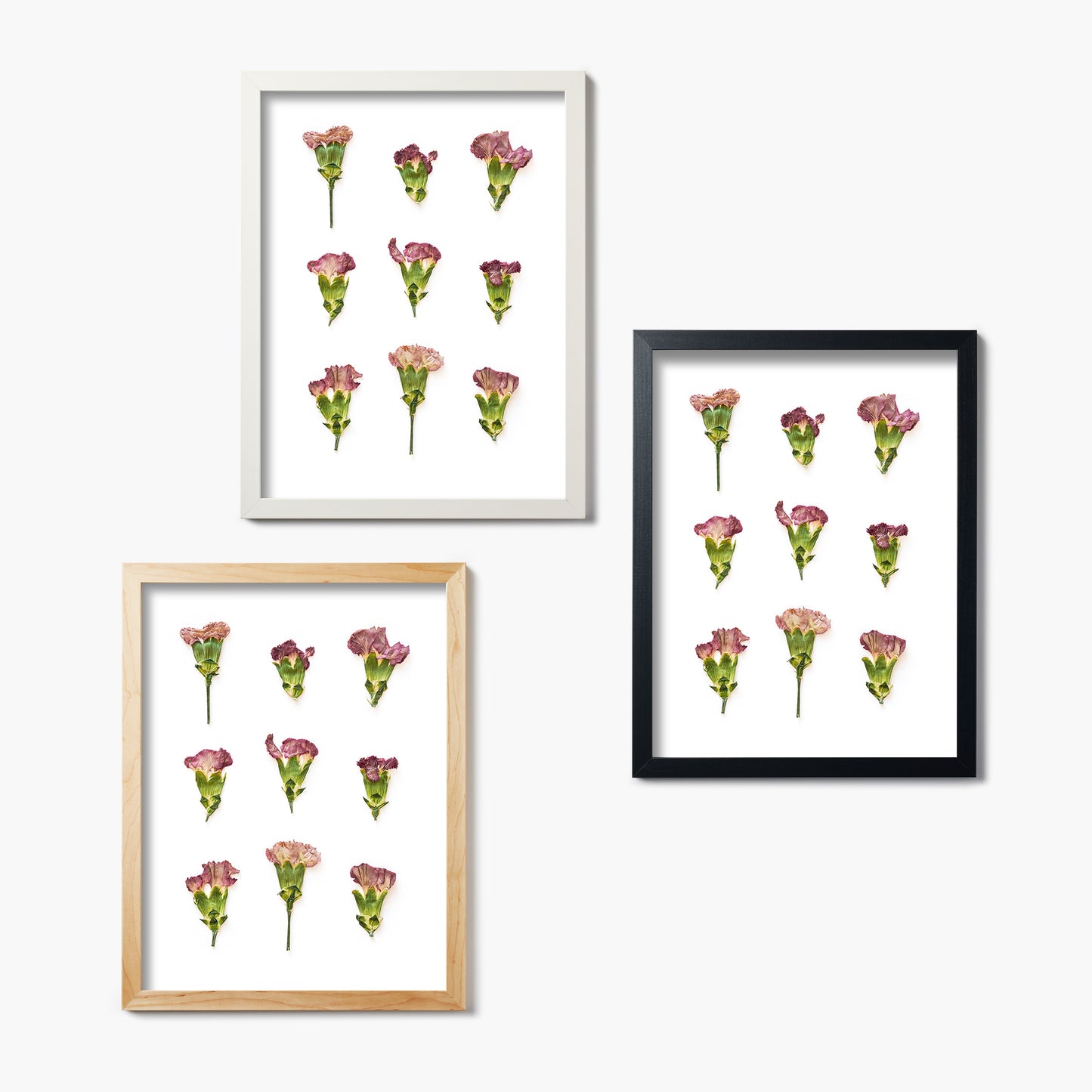 January Carnation Pressed Floral Custom Name Print