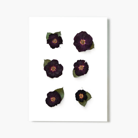 June Rose No. 2 Pressed Floral Print