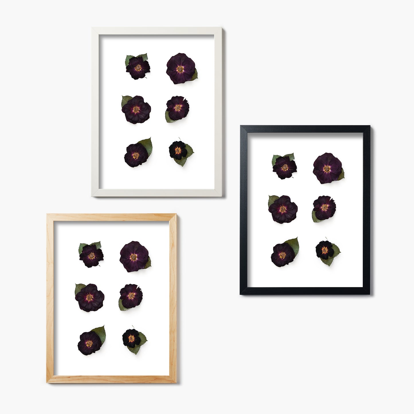 June Rose Pressed Floral Custom Name Print
