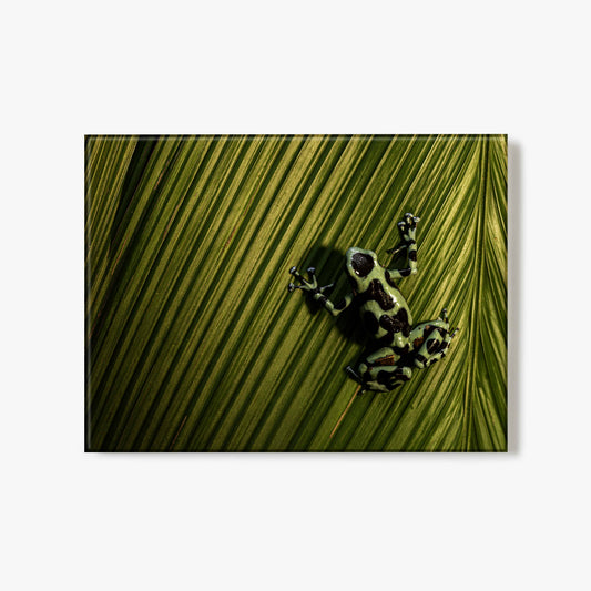 Jungle Jewel