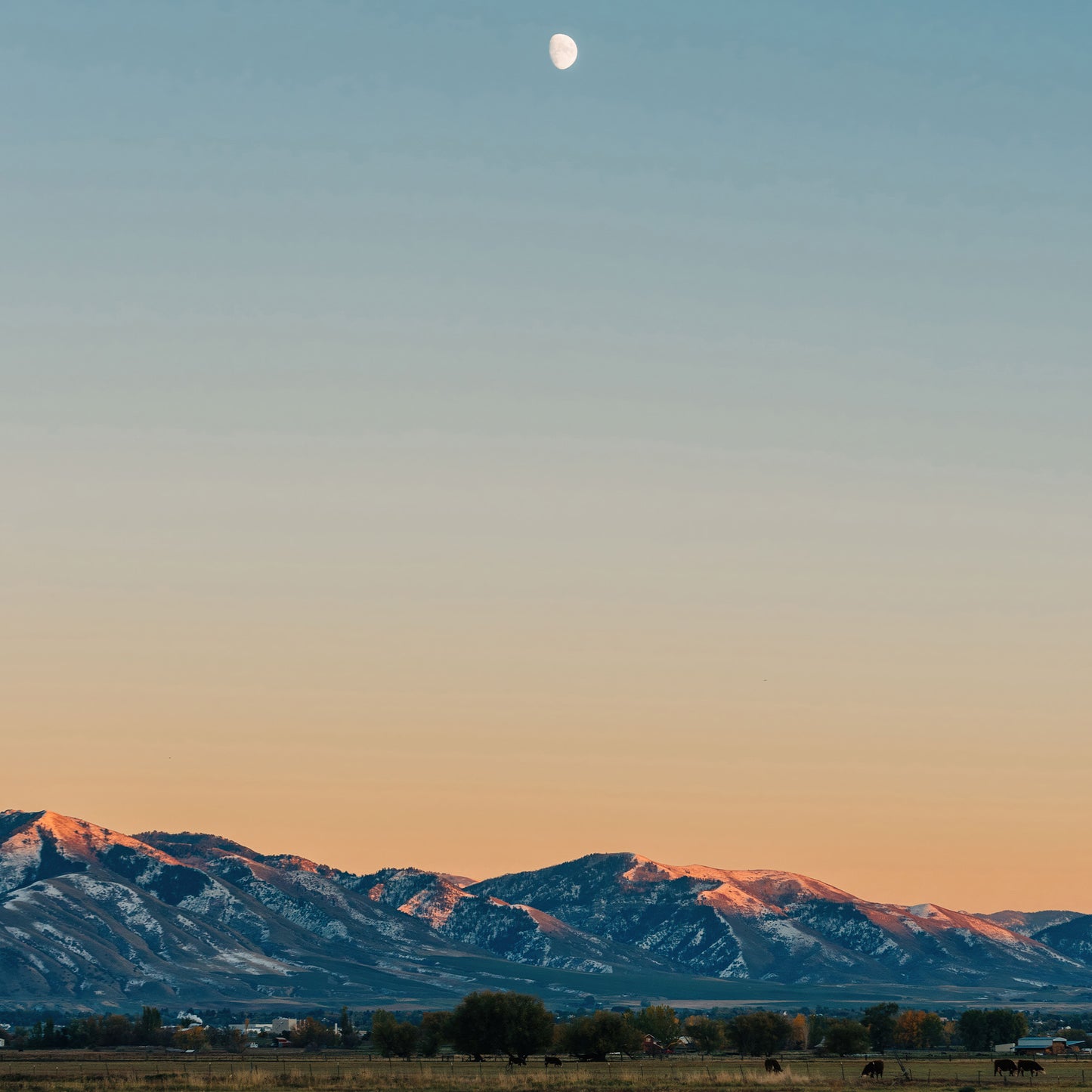 Logan Utah