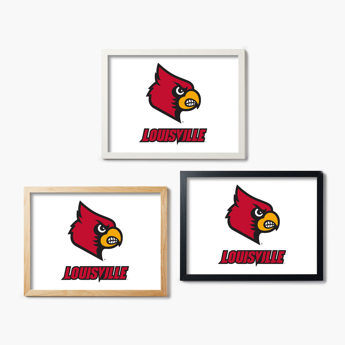 Louisville Cardinal