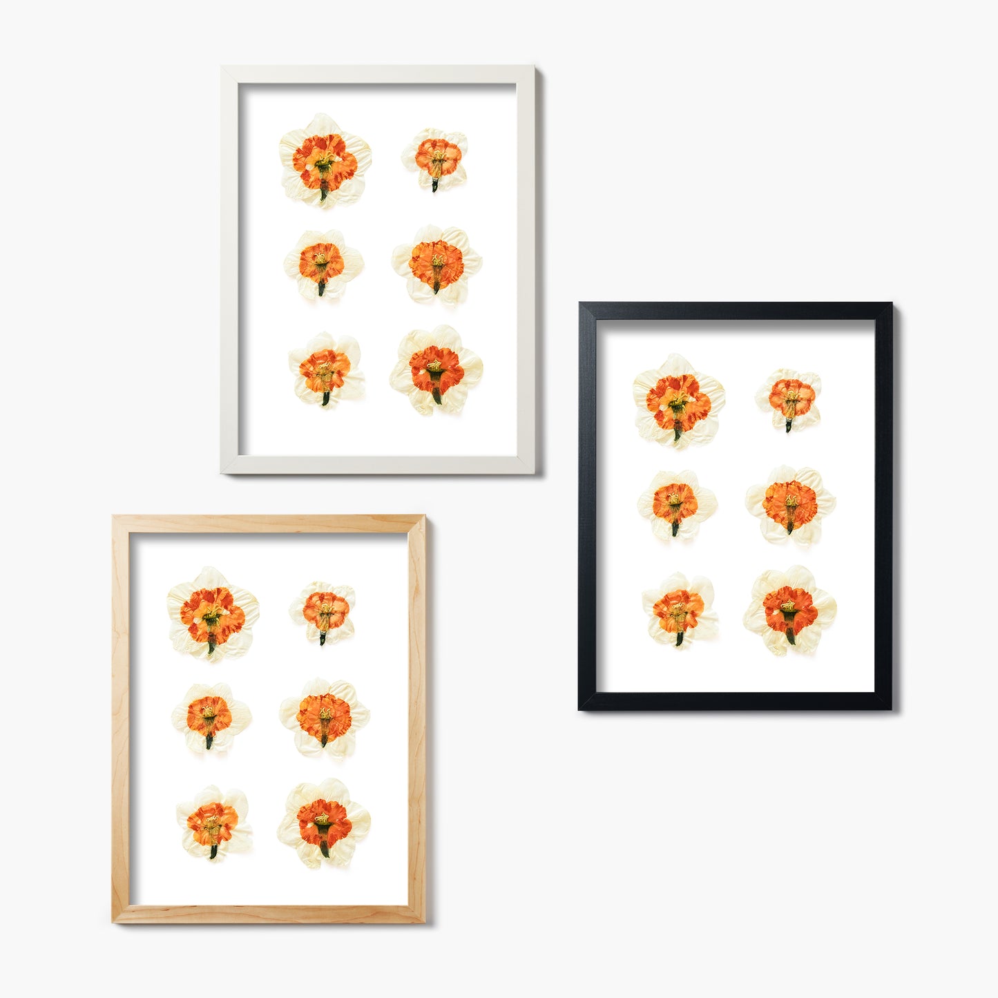 March Daffodil No. 2 Pressed Floral Print