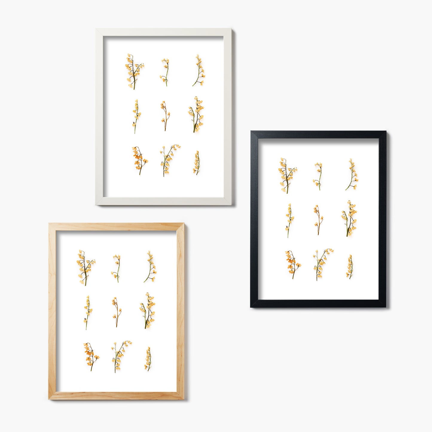 May Lily Of The Valley No. 2 Pressed Floral Print