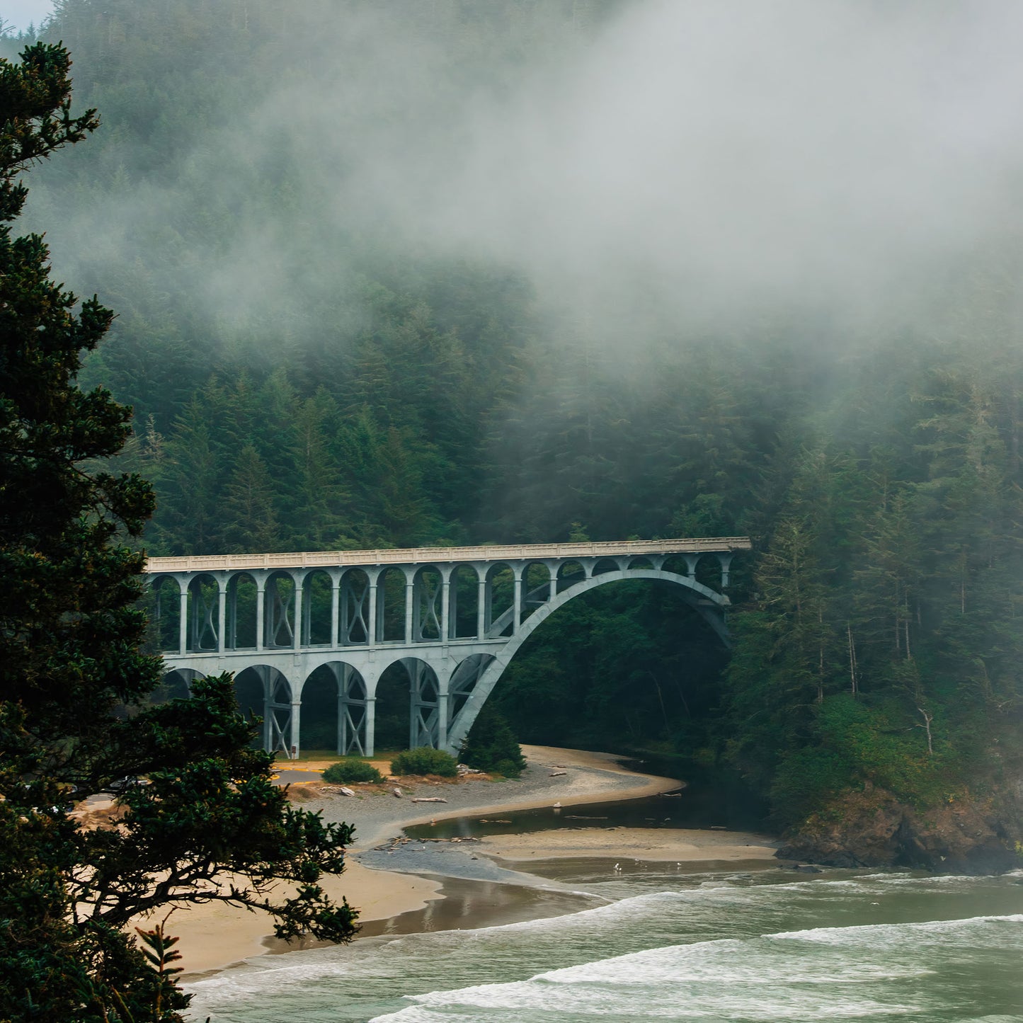 Misty Oregon Coast