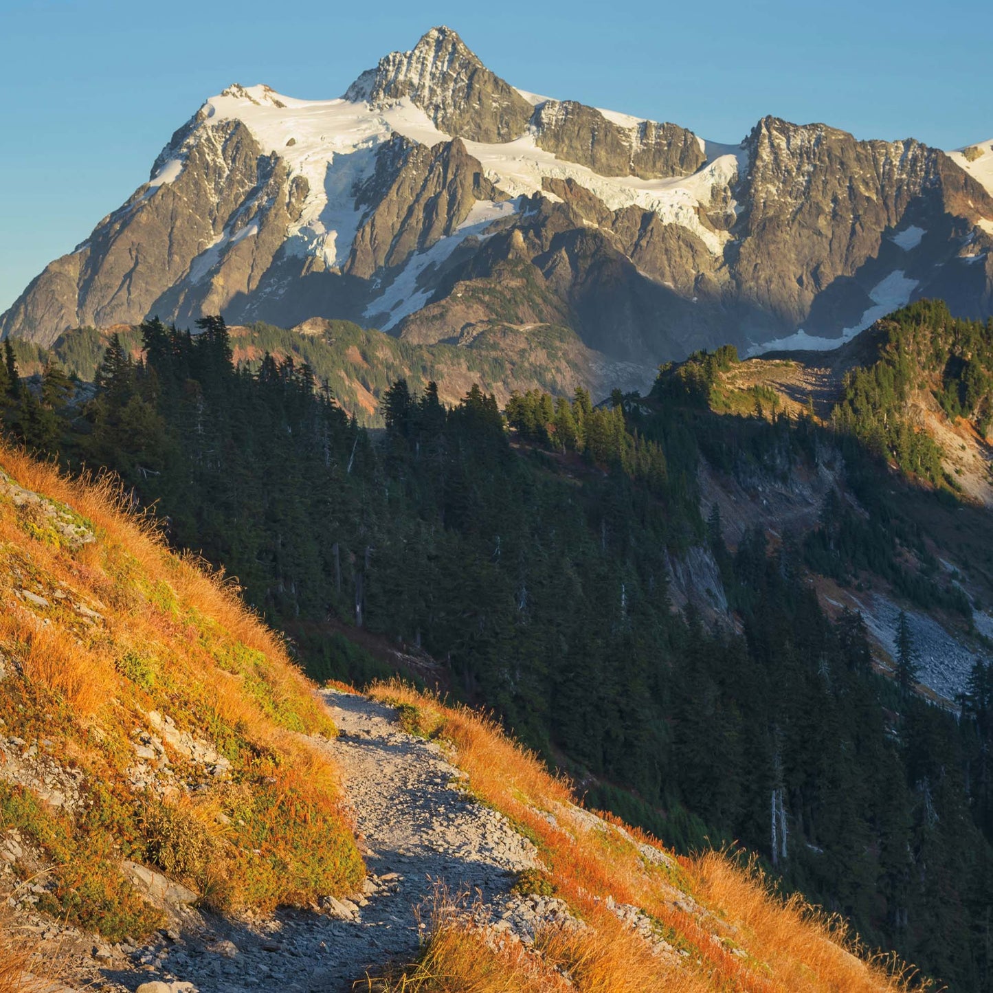 Mount Shuksan North Cascades