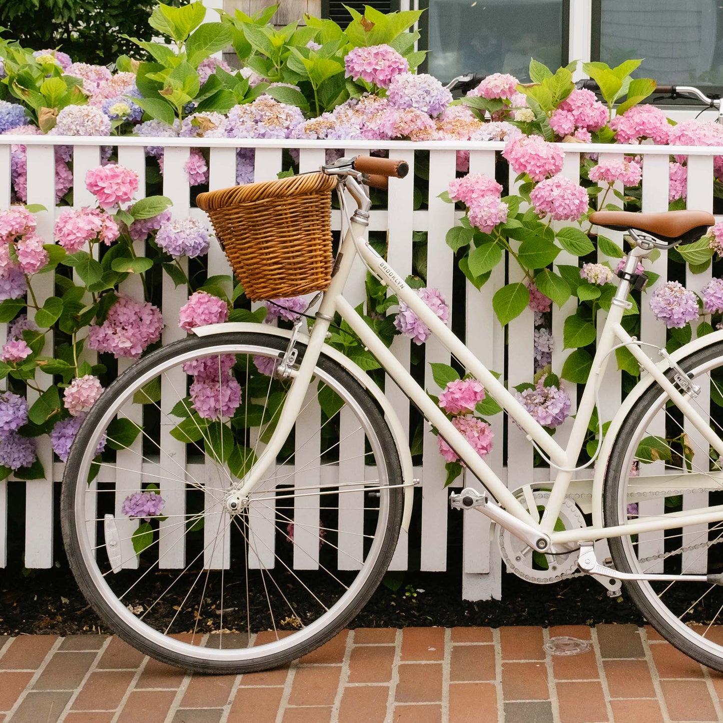 Nantucket Ride