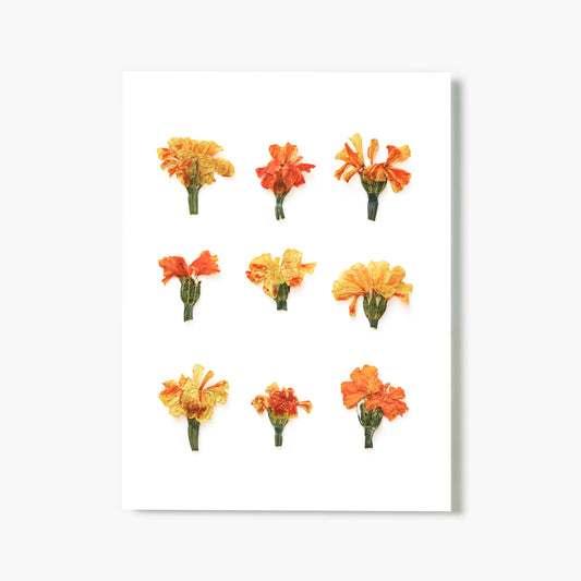 October Marigold No. 2 Pressed Floral Print