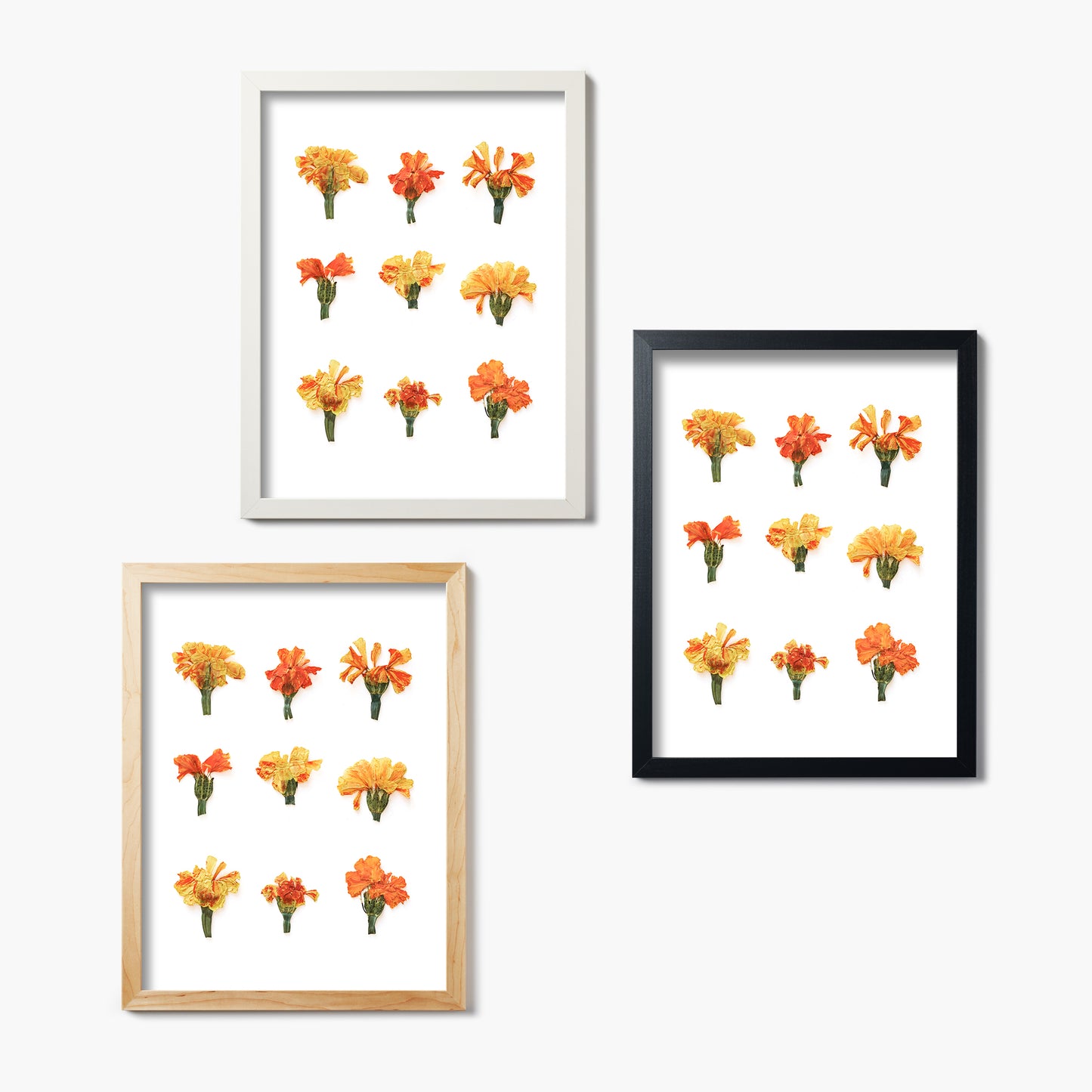 October Marigold Pressed Floral Custom Name Print